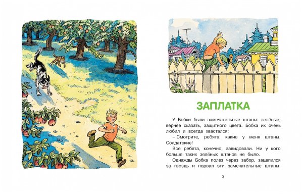 Рассказ н.Носова заплатка