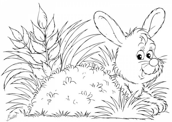 Раскраски заяц и еж гримм (55 фото)