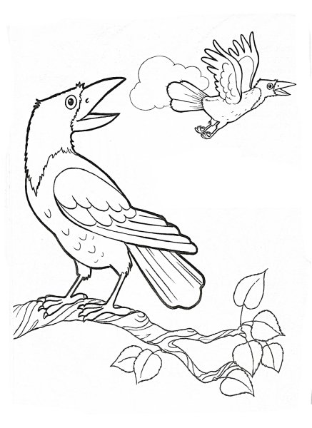 Раскраски птицы Грач для дошкольников