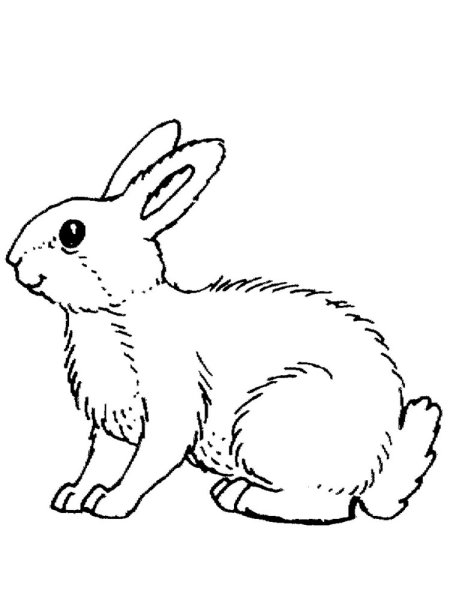 Раскраска заяц с сердечком