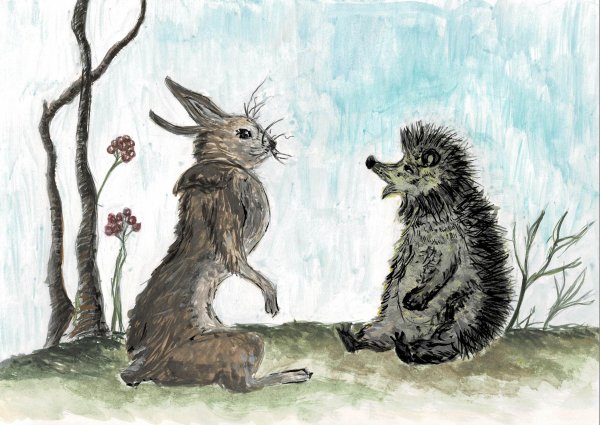Раскраски заяц и еж братья гримм (56 фото)