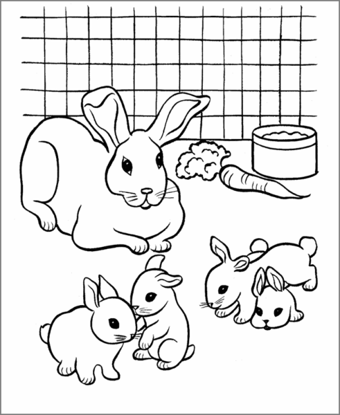 Крольчиха с крольчатами раскраска