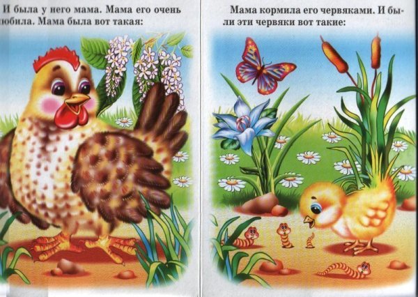 Иллюстрации к сказке Чуковского цыпленок