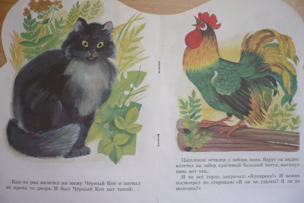 Чуковский цыпленок Шеварева