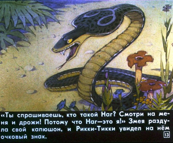 Киплинг Рикки Тикки Тави диафильм