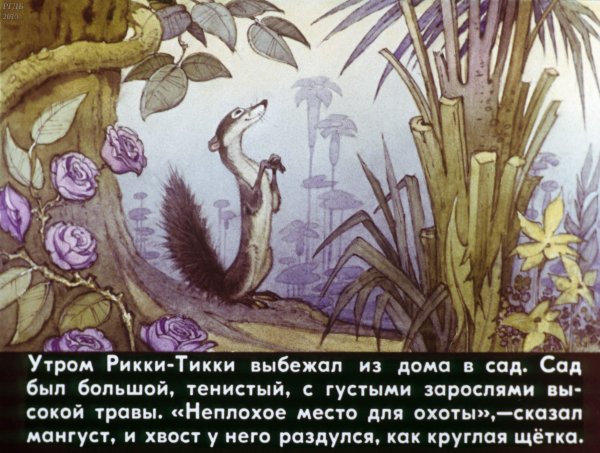 Африканская сказка Рикки Тикки Тави