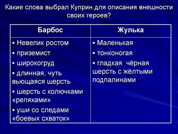 Описание внешности Барбоса и Жульки