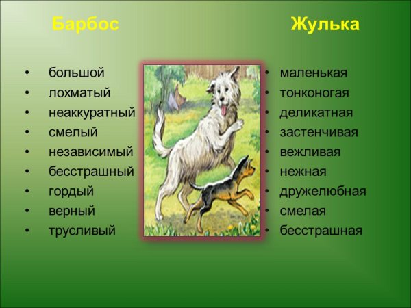 Характеристика Барбоса и Жульки
