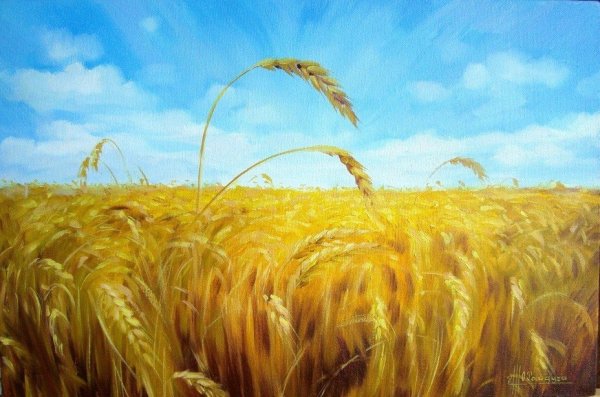 А.Атабаев пшеничное поле