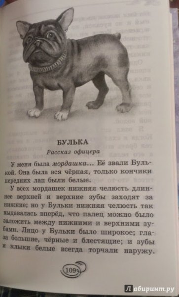 Лев Николаевич толстой рассказ Булька