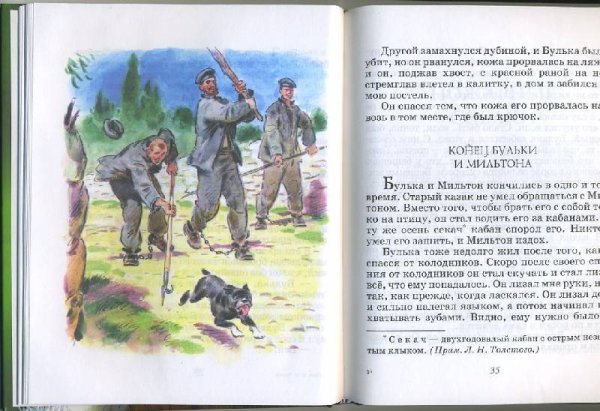 Булька и кабан толстой