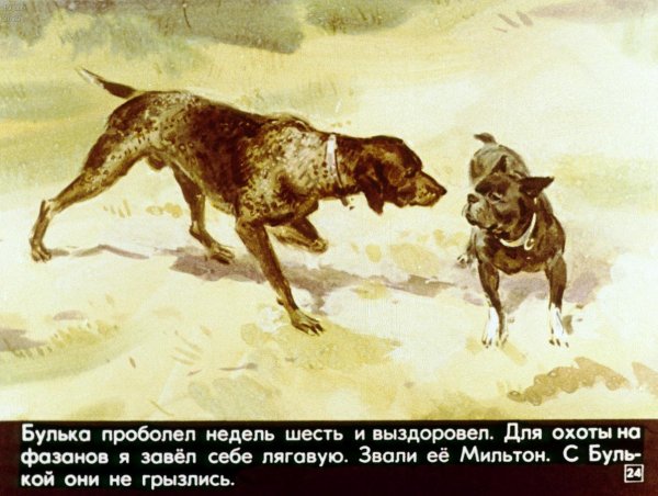 Мильтон и Булька толстой