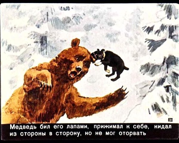Иллюстрации Лев Николаевич толстой Булька