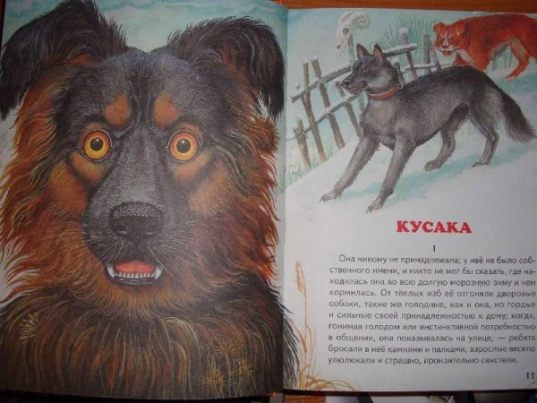 Кусака» л. Андреев собака
