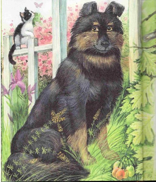 Куприн кусака
