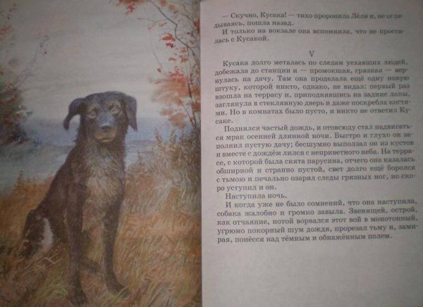 Кусака читать