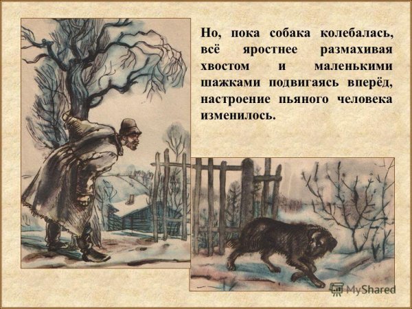 Л Н Андреева кусака