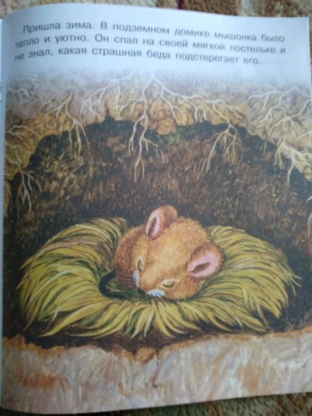 Мышонок пик иллюстрации в книжке