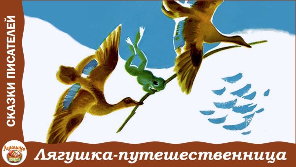 Бродилка лягушка путешественница