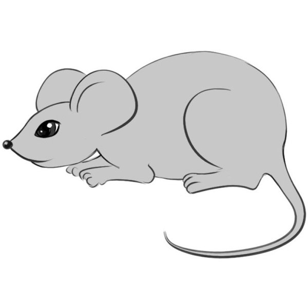 Домовая мышь рисунок для детей