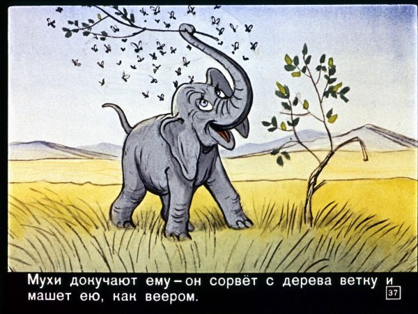Редьярд Киплинг Слоненок диафильм