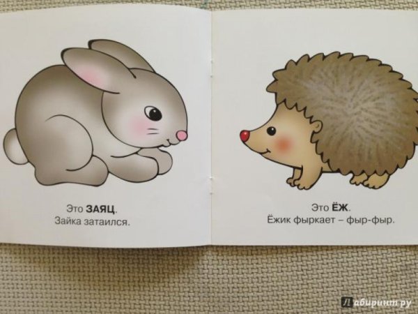 Пых Ёжик книжка