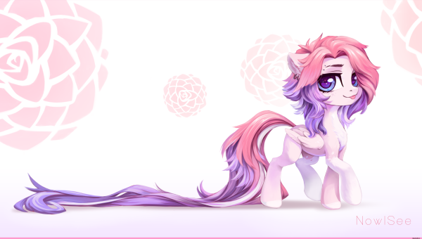 Nowisee MLP