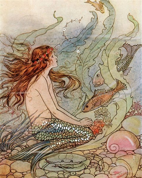 Discworld Mermaid