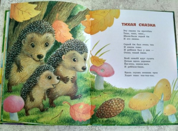 Маршак с. "Тихая сказка"
