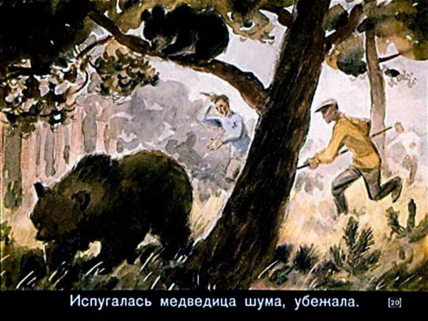 Аришка-трусишка Бианки
