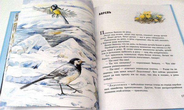 Синичкин календарь Виталий Бианки книга