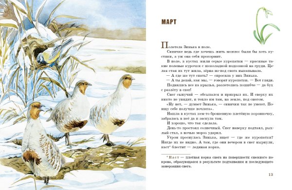 Бианки Синичкин календарь Зинька
