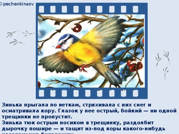 Синичка Зинька Бианки