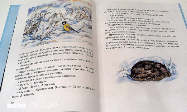 Виталий Бианки Синичкин календарь февраль