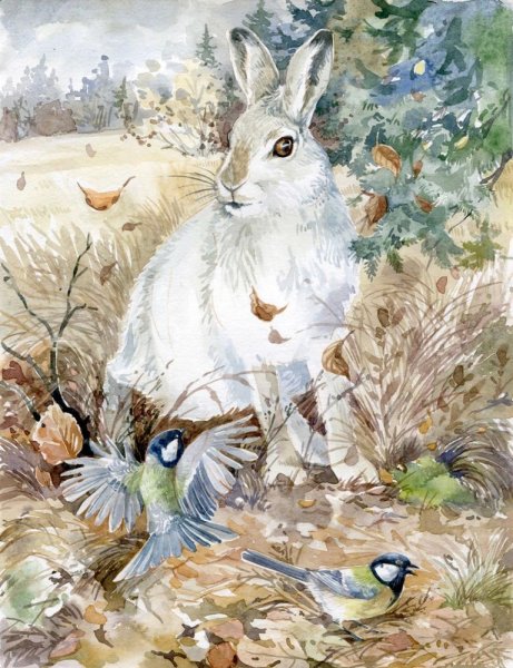 Алина Сканцева художник