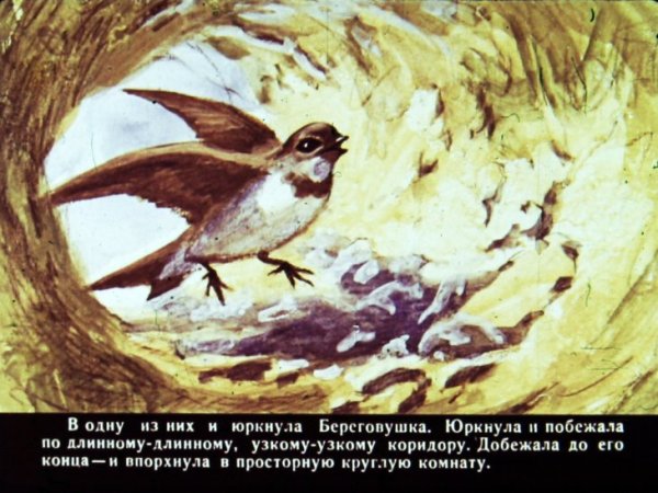 Лесные домишки 1980