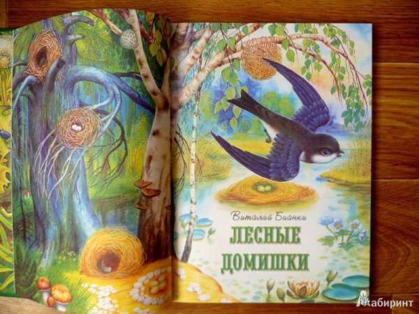 Бианки Лесные домишки иллюстрации