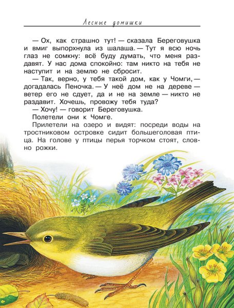 Рассказ Лесные домишки