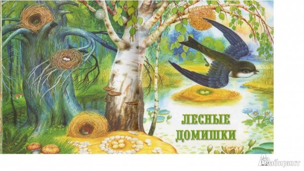 Бианки в. "Лесные домишки"
