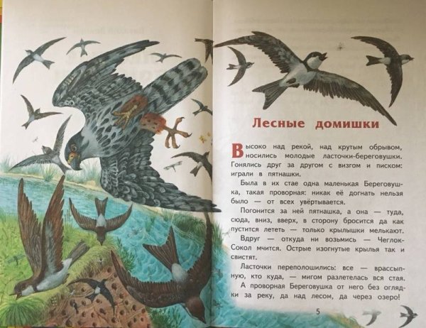 Рассказ Бианки Лесные домишки