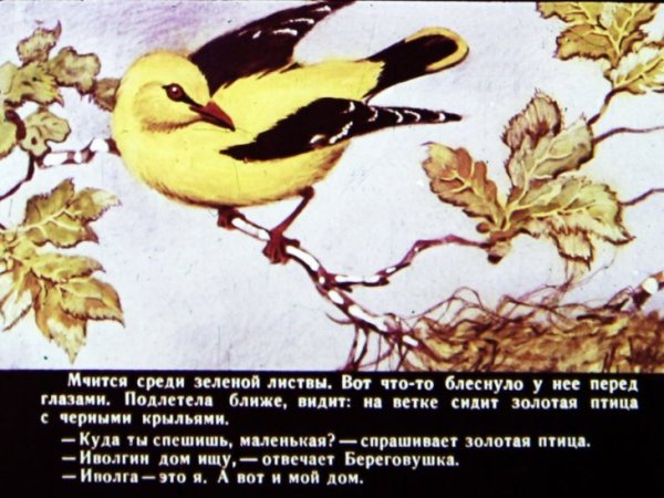 Лесные домишки Иволга