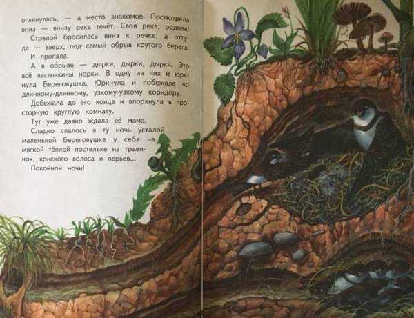 Бианки Виталий Валентинович Лесные домишки