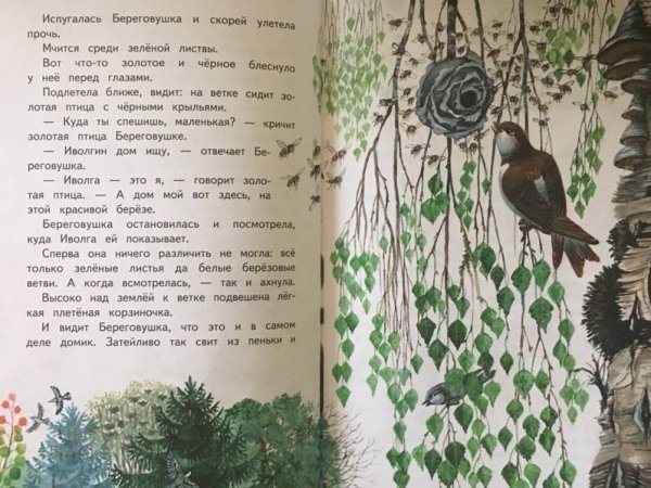 Лесные домишки Бьянки рассказ