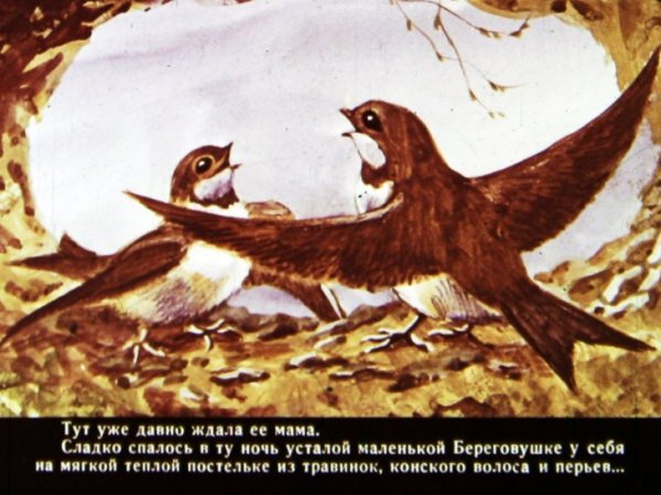 Лесные домишки 1980