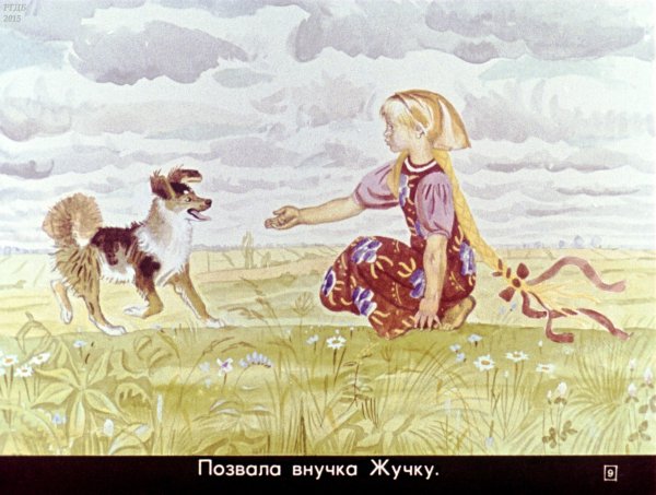 Жучка сказка