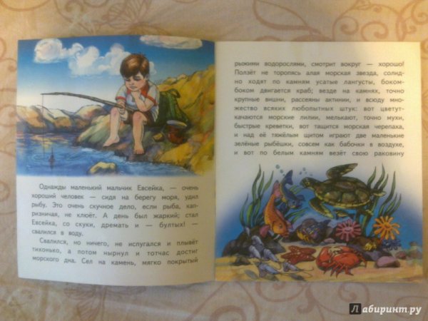 Случай с Евсейкой книга