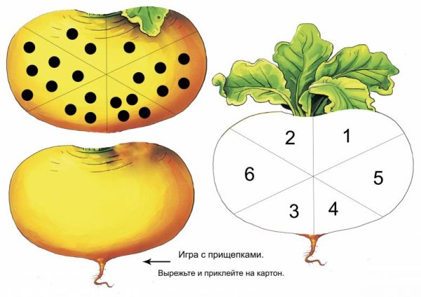 Тематический комплект Репка