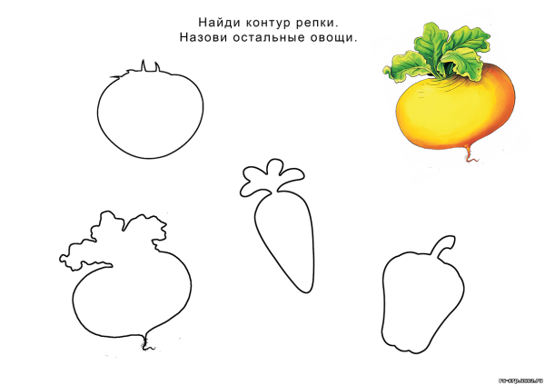 Задание по сказке Репка для малышей