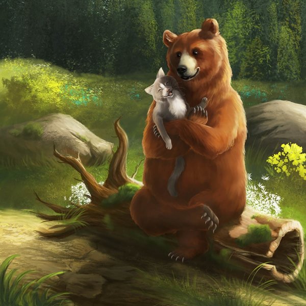 Кошка медведь