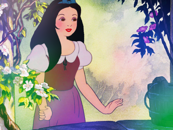 Сансивьерия "Snow White" (Белоснежка).